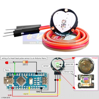 Jual Sensor Detak Jantung Pulse Heart Rate Bio Analog Optical Arduino ...