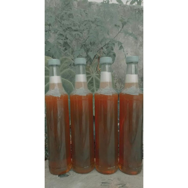 

MADU MULTYFLORA KEMASAN 460 ML 100% MURNI