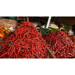 

cabai/cabe merah asli sumatera yang berkualitas dengan kepedesannya