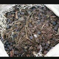 pupuk kandang kohe kambing 1kg || kohe 1000gr