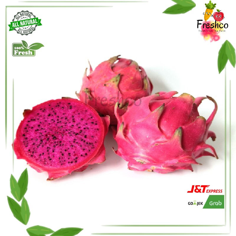

Buah Naga Merah/Red Dragon Fruit Kualitas Pilihan |500gr|1kg