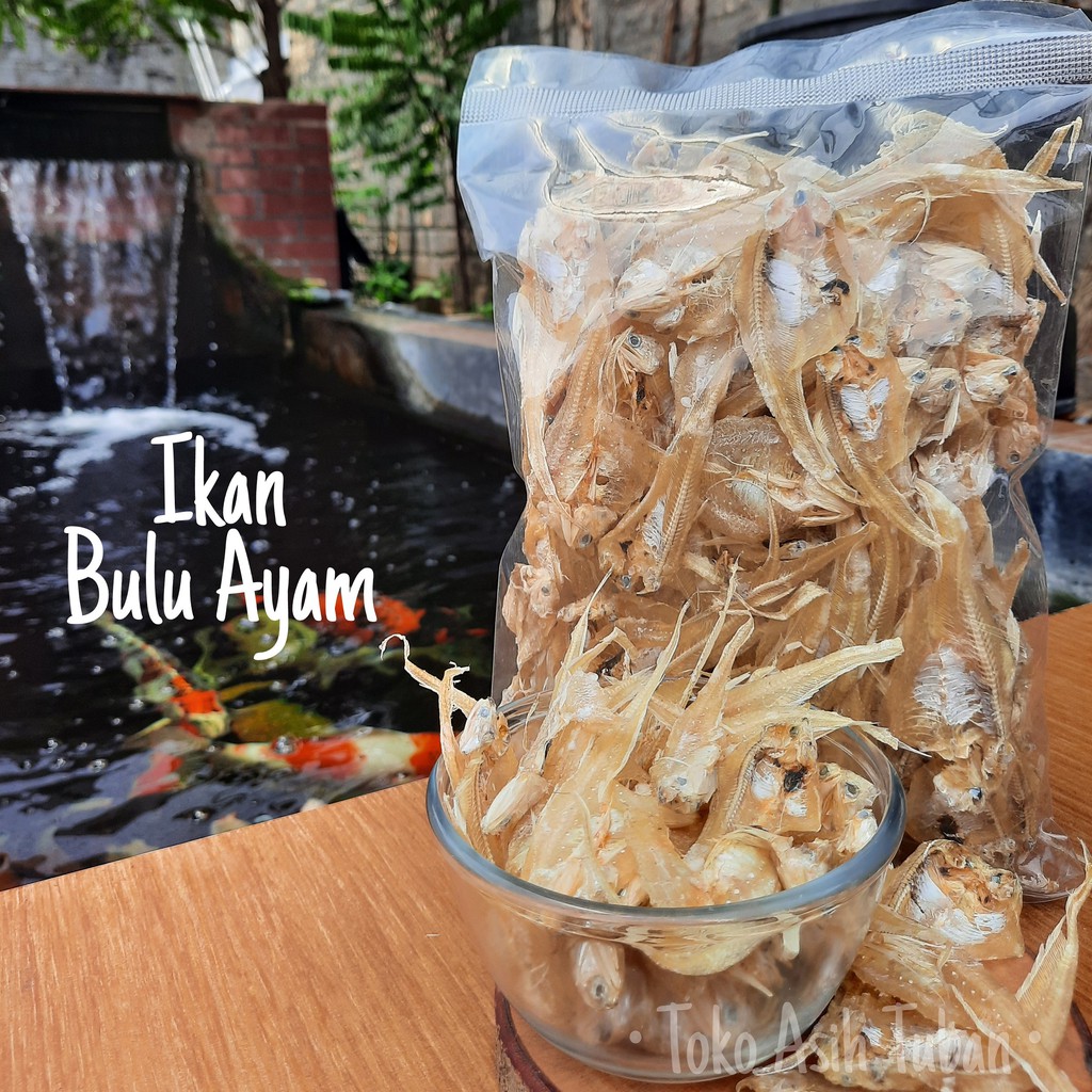 

Ikan Asin Bulu Ayam 200gr (Mentah) - Toko Asih / Gereh / Gerih