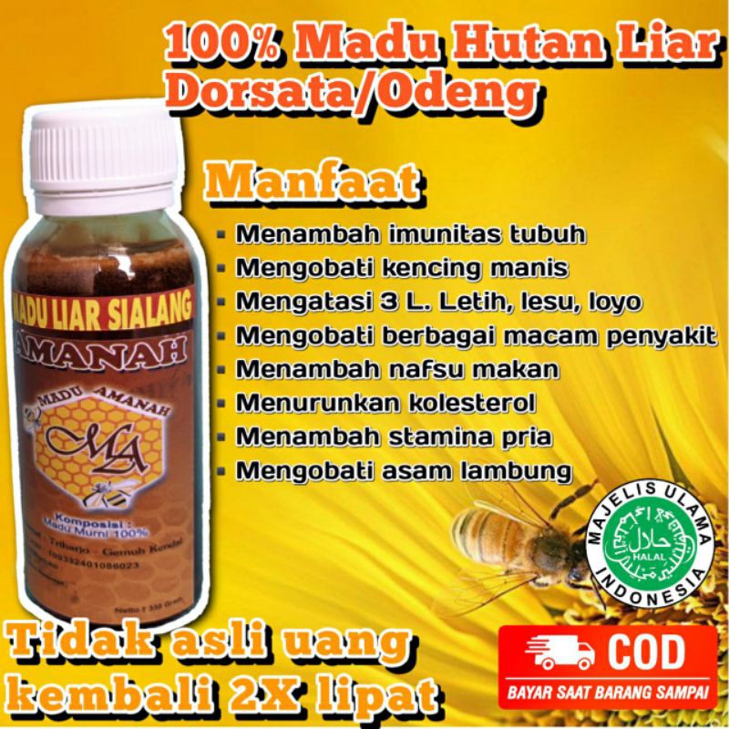 

MADU ASLI 100% tanpa campuran. Madu liar Sialang botol plastik besar 700g