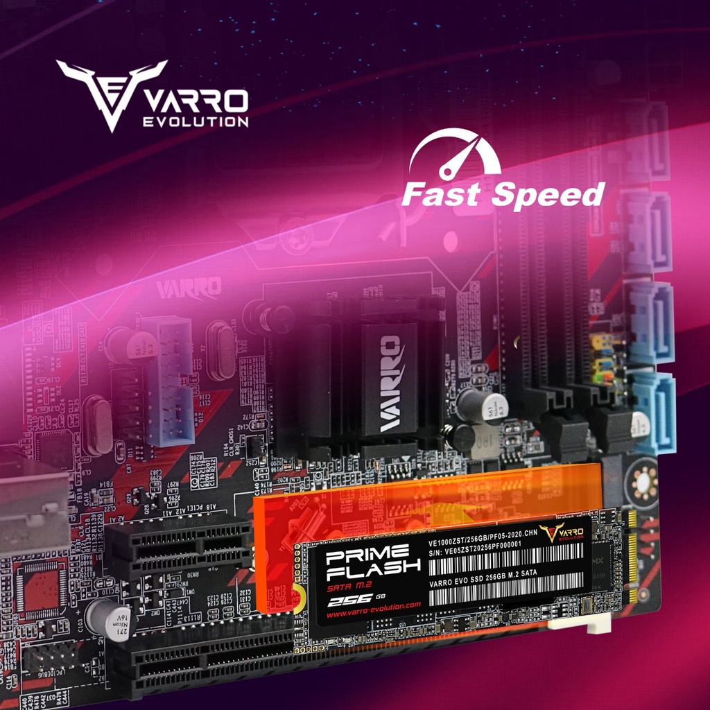 SSD VARRO EVOLUTION M2 PRIME 256GB