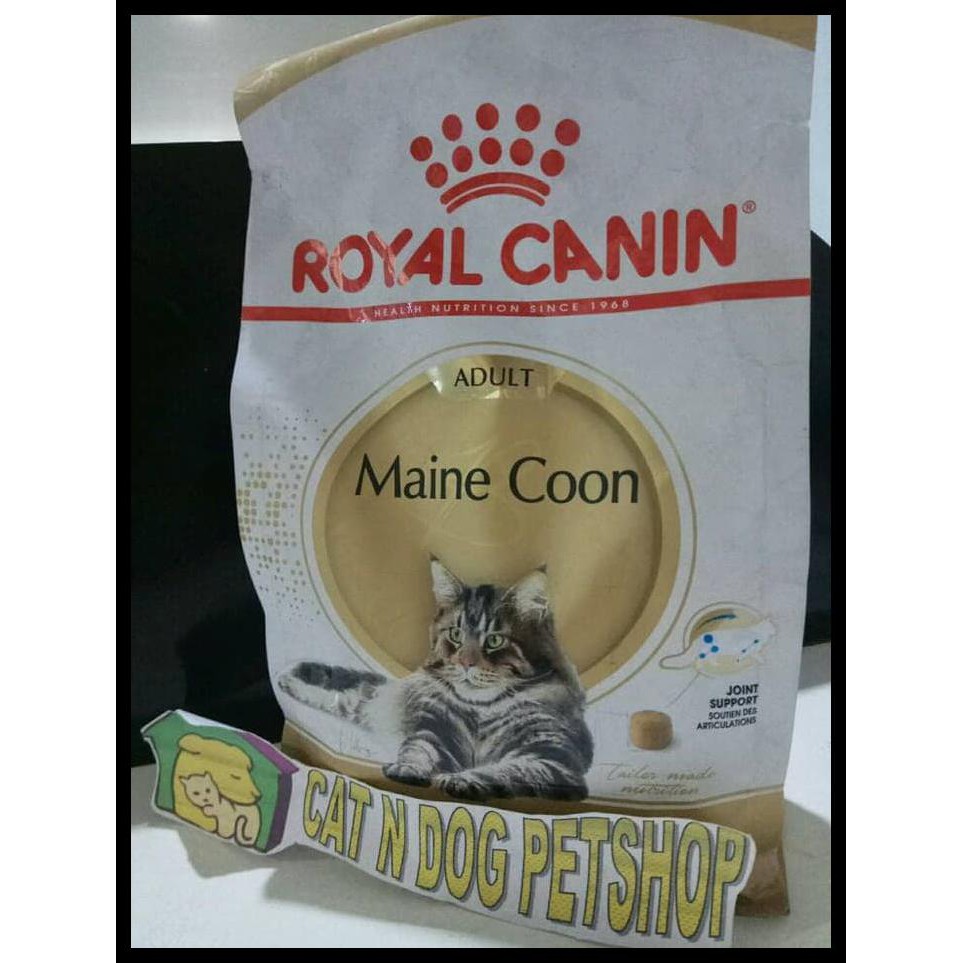 Makanan Terbaik Untuk Kucing Maine Coon - Berbagai Permainan