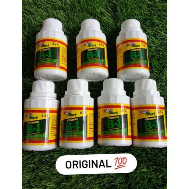 Jual Vitamin B1 Liquinox Start Original 100ml | Shopee Indonesia