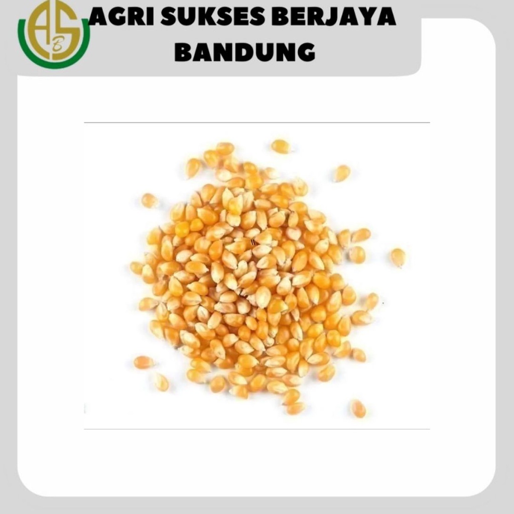 

Jagung Popcorn 250 GR