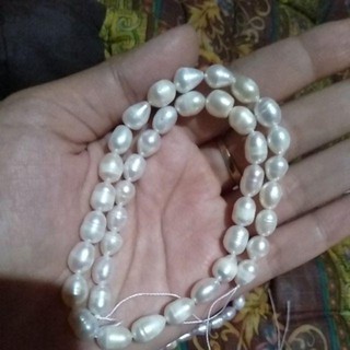 Renteng mutiara asli air tawar mutiara lombok perhiasan Renteng mutiara asli air tawar mutiara lombok perhiasan