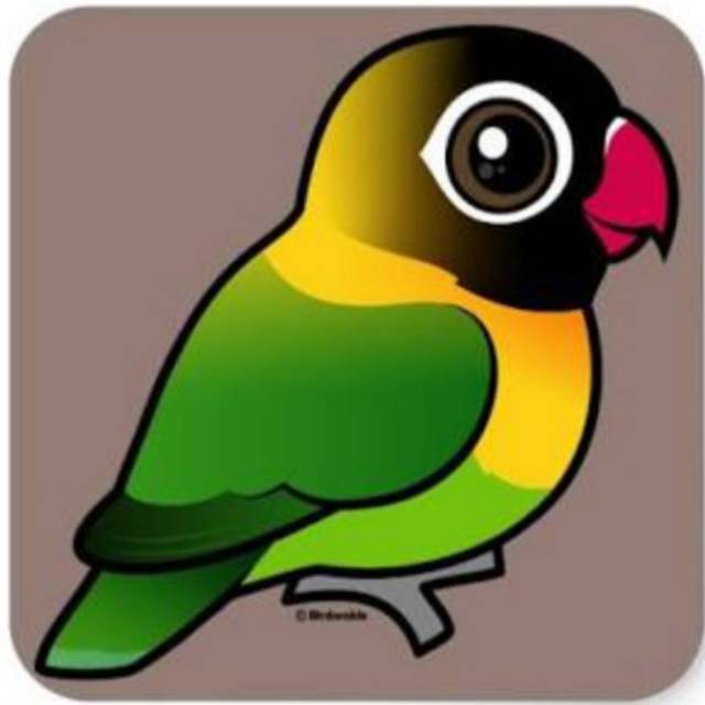 680+ Gambar Burung Lovebird Kartun Gratis Terbaru