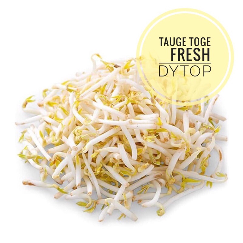 

Sayur Tauge Taoge Toge Fresh Segar - 500 Gram