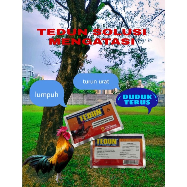 2BKS TEDUN 20 BUTIR OBAT TURUN URAT AYAM TARUNG TEDON LUMPUH BUBUL OTOT LEMAS ASLI ORI EKA FARMA