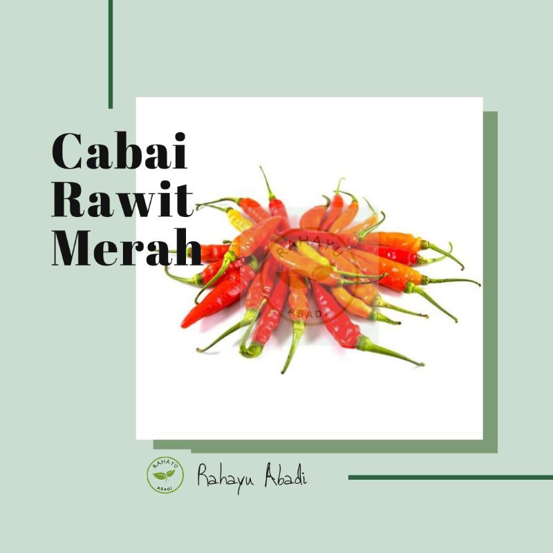 

Cabai Rawit Merah 250 gr