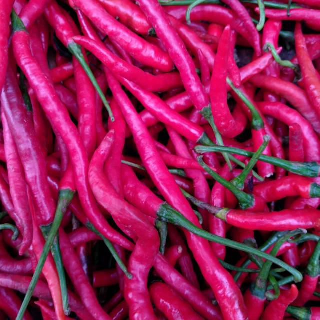

Cabe / Cabai Keriting Merah 250 gr