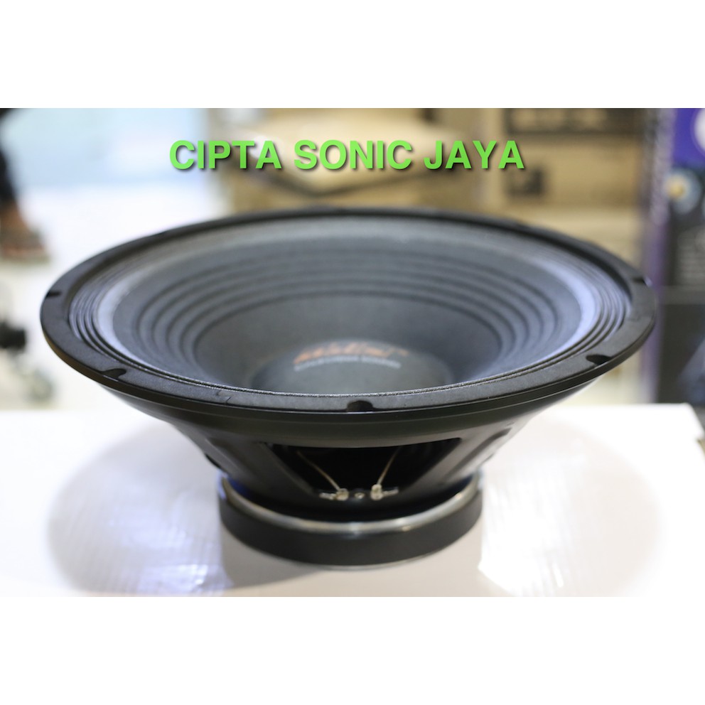 speaker 15&quot; ADS 1590 full range