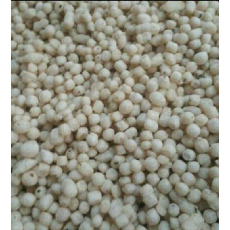 

pilus kletuk bakso