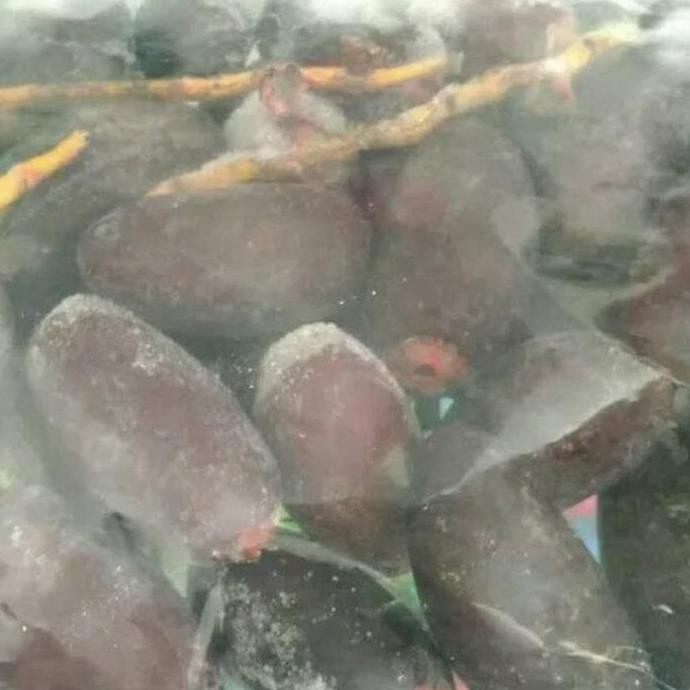 

Bgn Kurma Muda Buah Kurma Muda Ruthob 500Gr Arkanamarketht