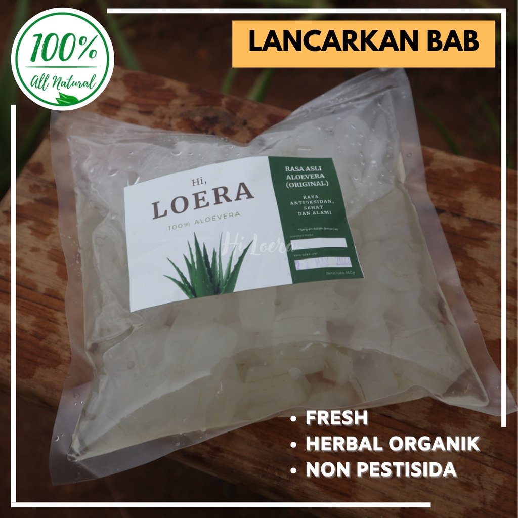 Jual Lidah Buaya Aloevera Aloe Vera Kupas Obat Herbal Asam Lambung Maag
