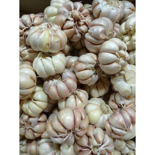 BAWANG PUTIH HONAN/ BANCI BERSIH 1KG