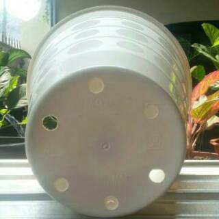  POT  PUTIH TINGGI  27CM POT  POLKADOT MONAS 27 CM  GO CLEAN NO 