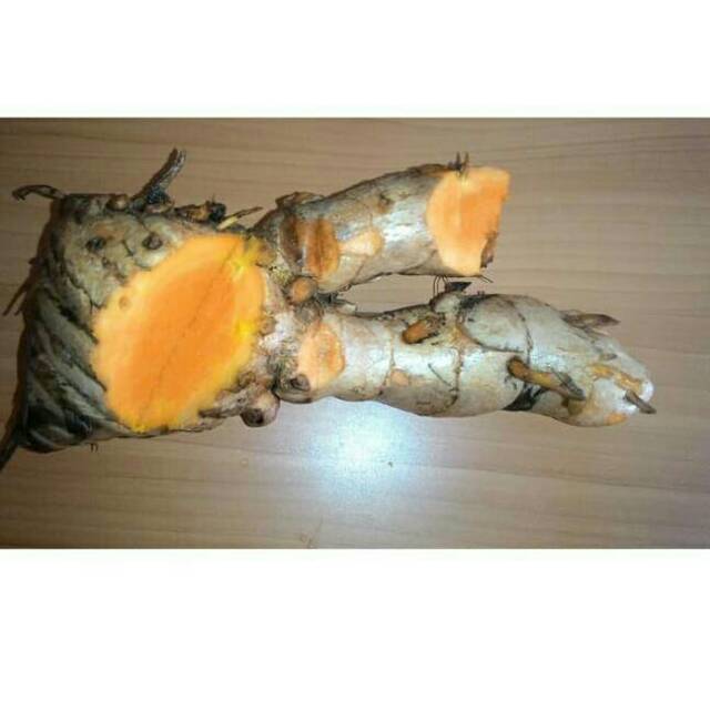 

TEMULAWAK ATAU KONENG GEDE UNTUK KESEHATAN 1KG