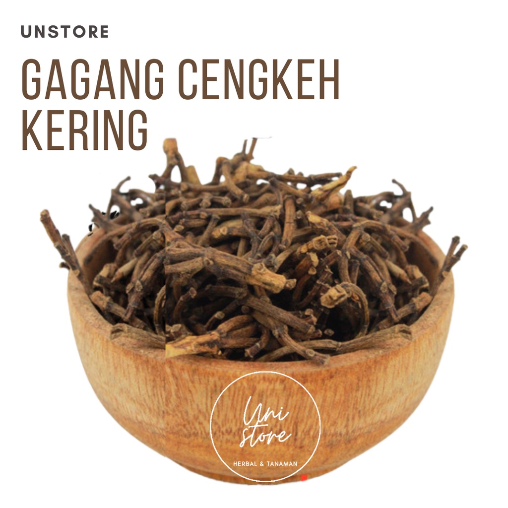 

Gagang Cengkeh Kering Termurah - tangkai bunga cengkeh berkualitas