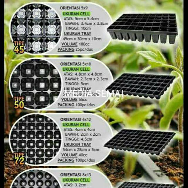 Tray semai hidroponik