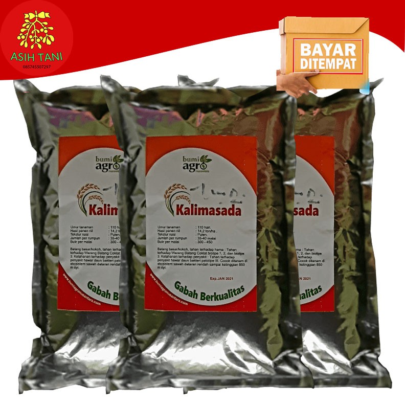 Benih Bibit Padi Kalimasada F1- 1kg Berkualitas