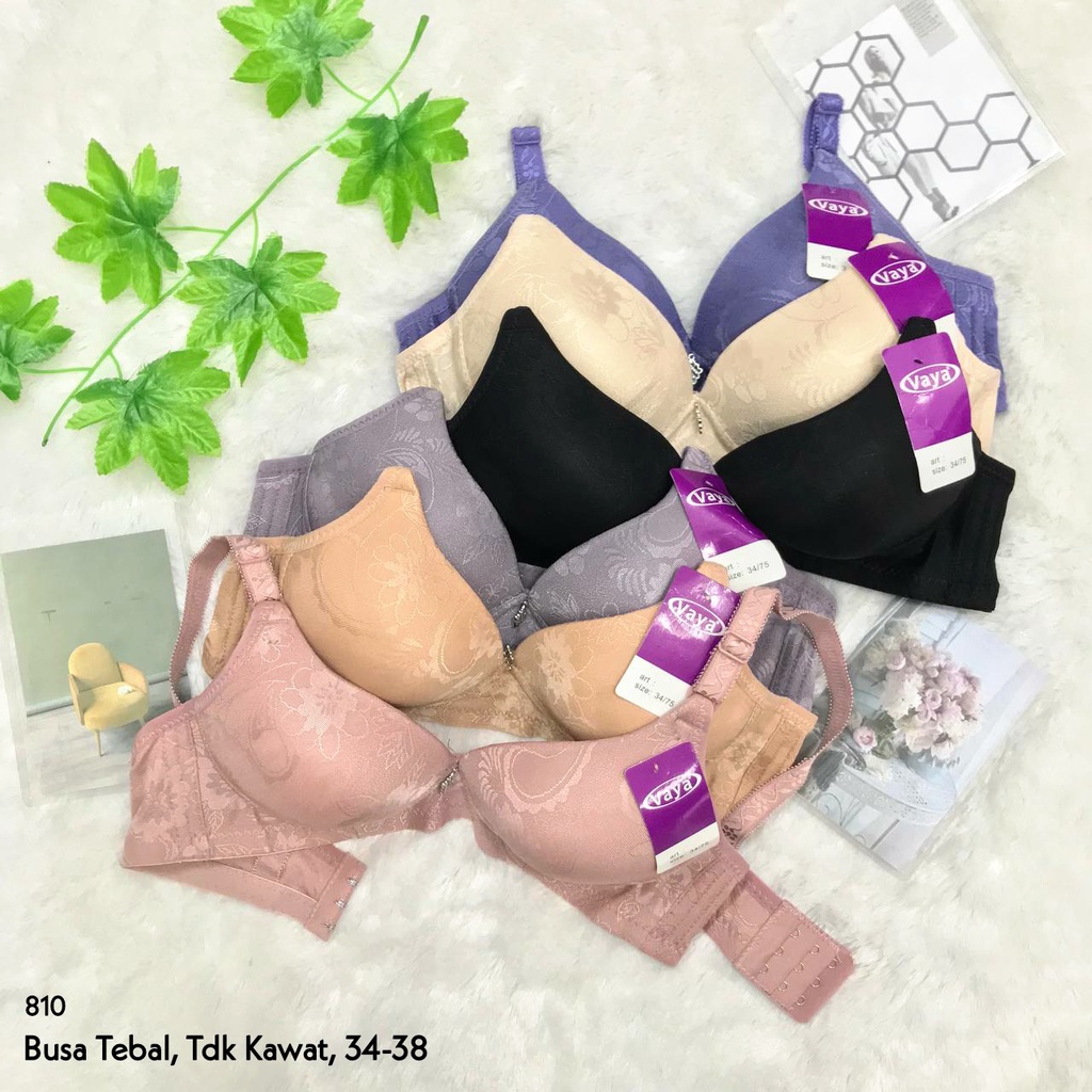 RVC75 - VAYA Push Up Bra Busa Tebal Tanpa Kawat 34-38 Kait 2 | BH Katun Polos Underwear Dewasa Pakai