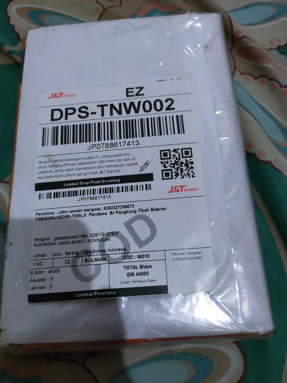 Seni Bonsai Indonesia