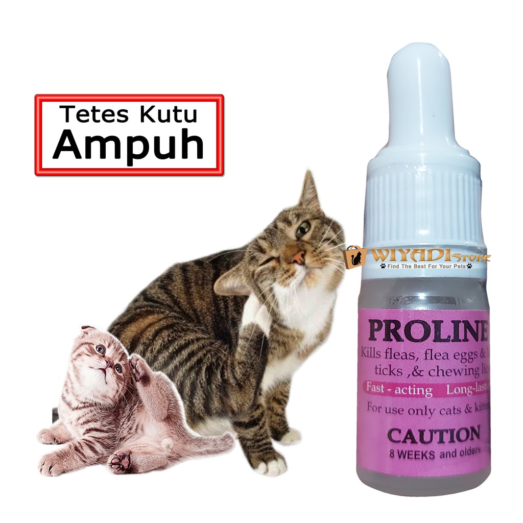 Proline Cat Obat Tetes Kutu Ampuh Kucing Kitten