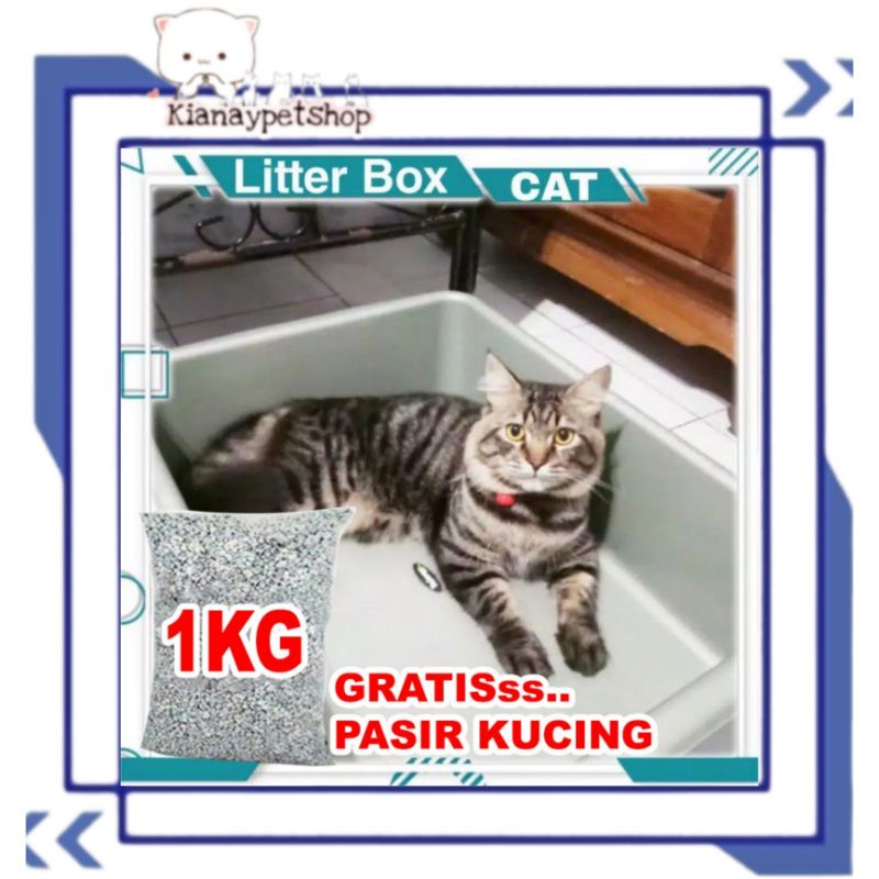 Litter Box Jumbo Ukuran L XL / Bak Pasir Kucing / Bak Taiwan / Baskom Ikan Cupang / Ikan Gapi