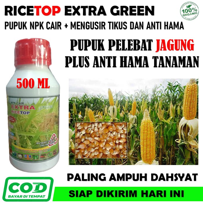 RICETOP Extra Green Obat Penyubur Jagung - Pupuk NPK RICETOP Obat Semprot Pelebat Jagung Paling Ampu