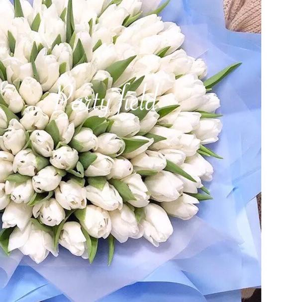 

❀ [1PAK/20PCS] HX001 Kertas bunga / Flower wrapping paper ™