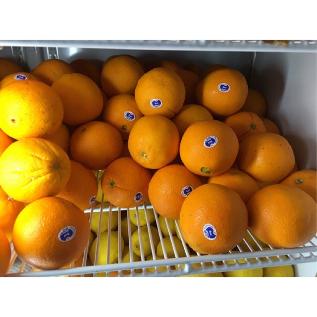 

Jeruk Sunkist Navel Australia FRESH Promo Murah