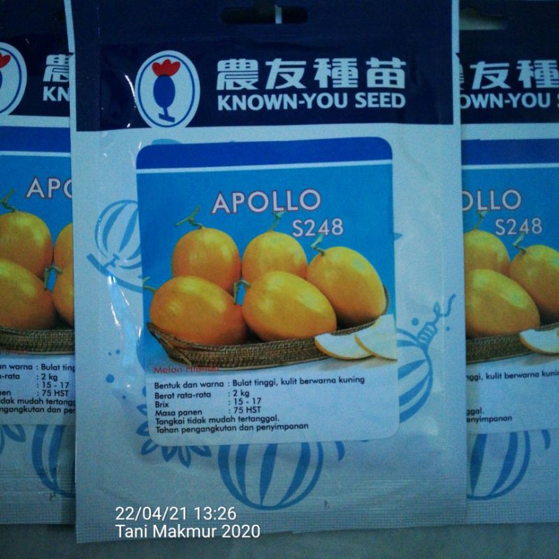 Benih Melon Golden Apollo 20 gr Original Pabrik