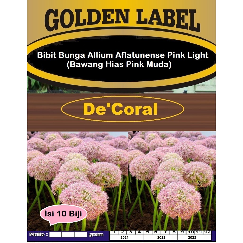 Bibit Bunga Allium Aflatunense Pink Light | Benih Bawang Hias Pink Muda