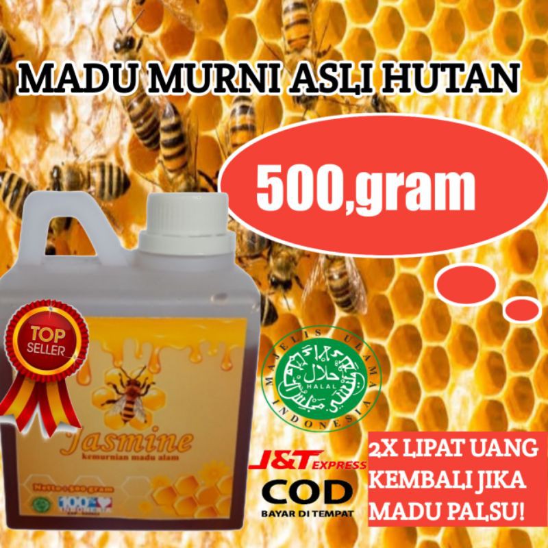 

MADU HUTAN ASLI / MADU MURNI ISI 500 GRAM BERLEBEL 100% ASLI