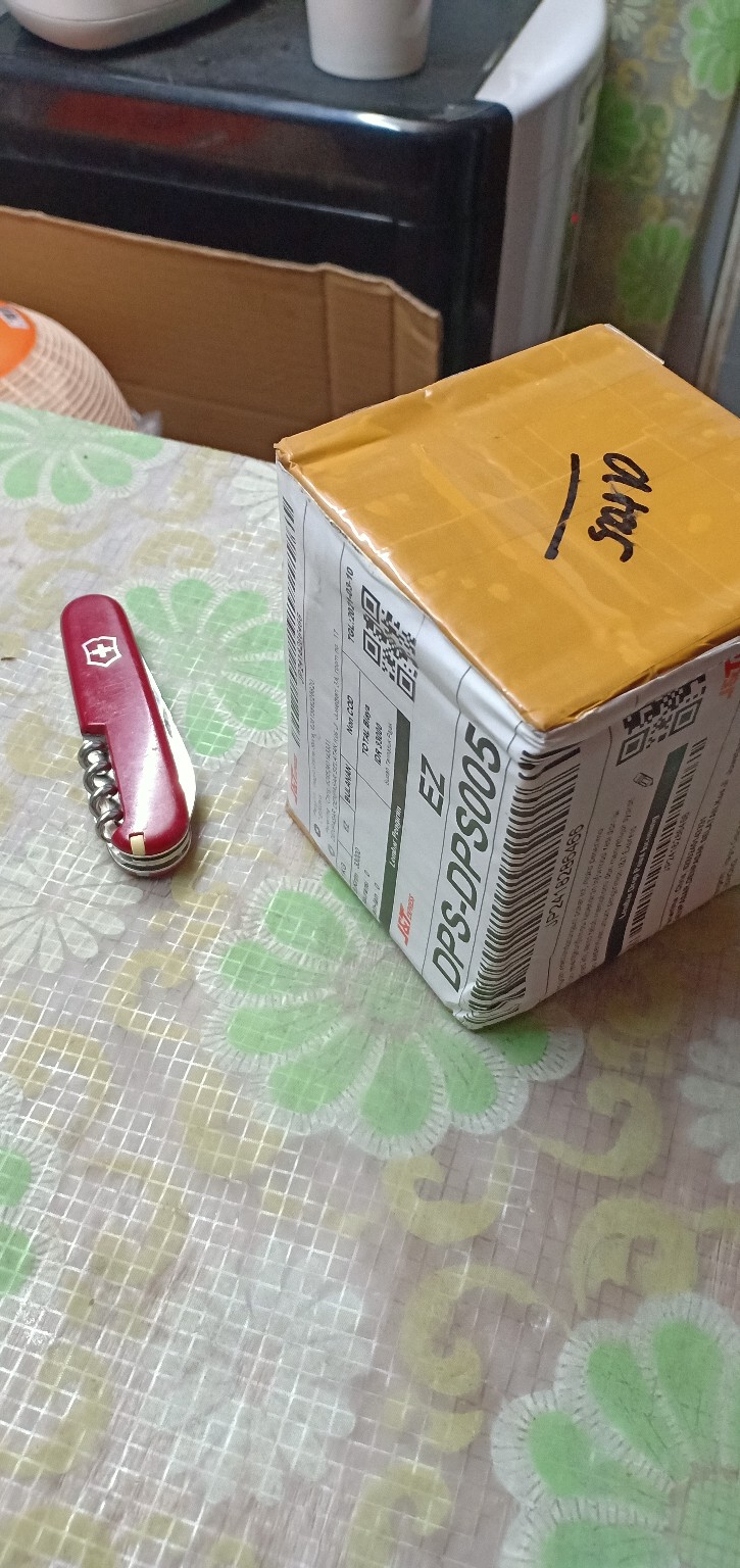 Tanaman Hias Nephentes Raflessiana (s) Hasil Kultur Jaringan