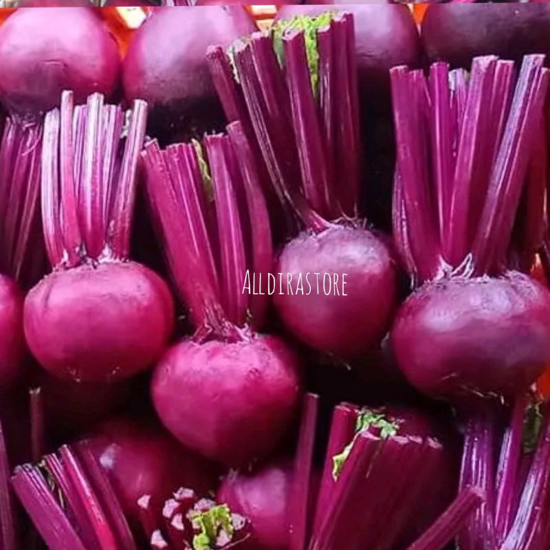 

Buah Bit/Beet Root Fresh Kualitas super 1Kg