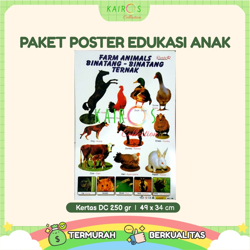 Paket 6 Poster Dinding Edukasi Anak Belajar Mengenal Alfabet, Angka, Sayuran, Buah, Hewan, Transportasi