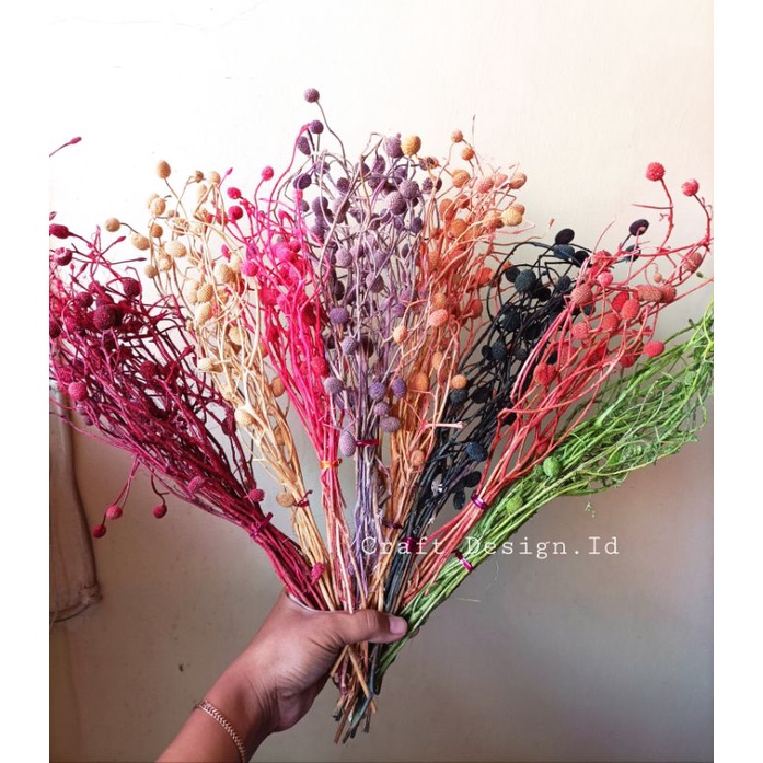 Bunga Kering Ghompera Berry/Ikat/GROSIR