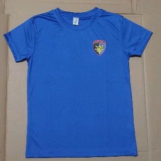 Kaos biru polair