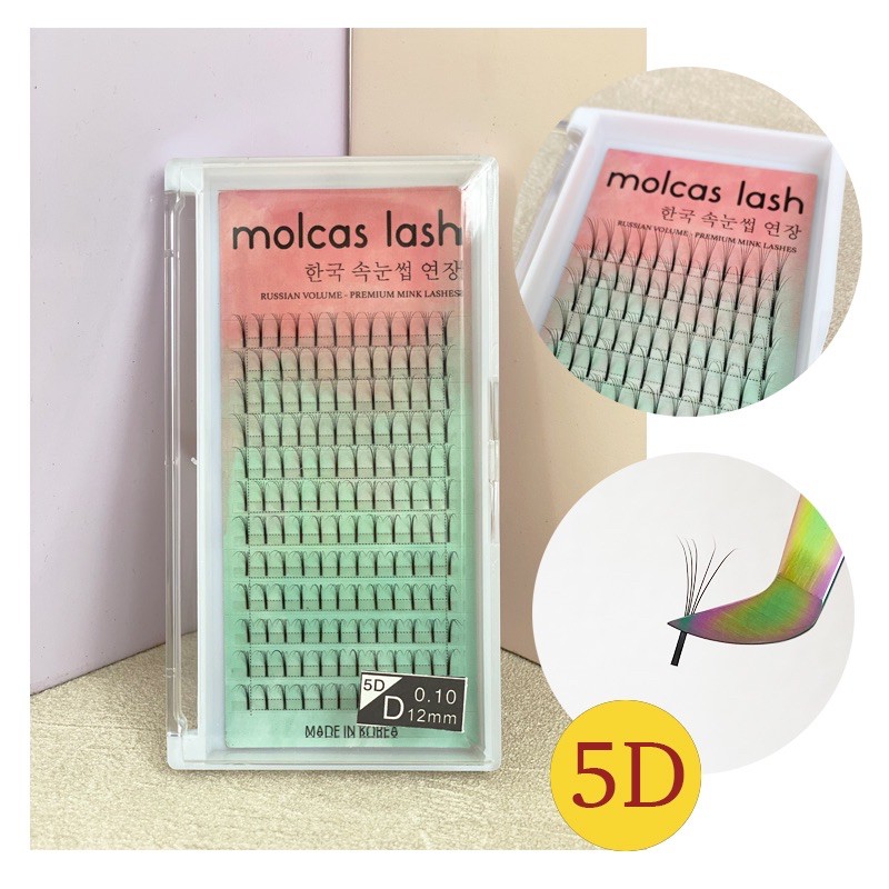 MOLCAS RUSSIAN/VOLUME READY LASH 3D/5D/6D EYELASH EXTENSION KOREA