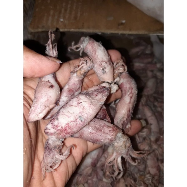 

cumi asin asli pangandaran/ CUMI ASIN