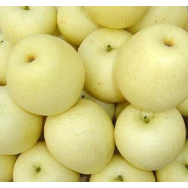 

Pear Century manis 500 gram