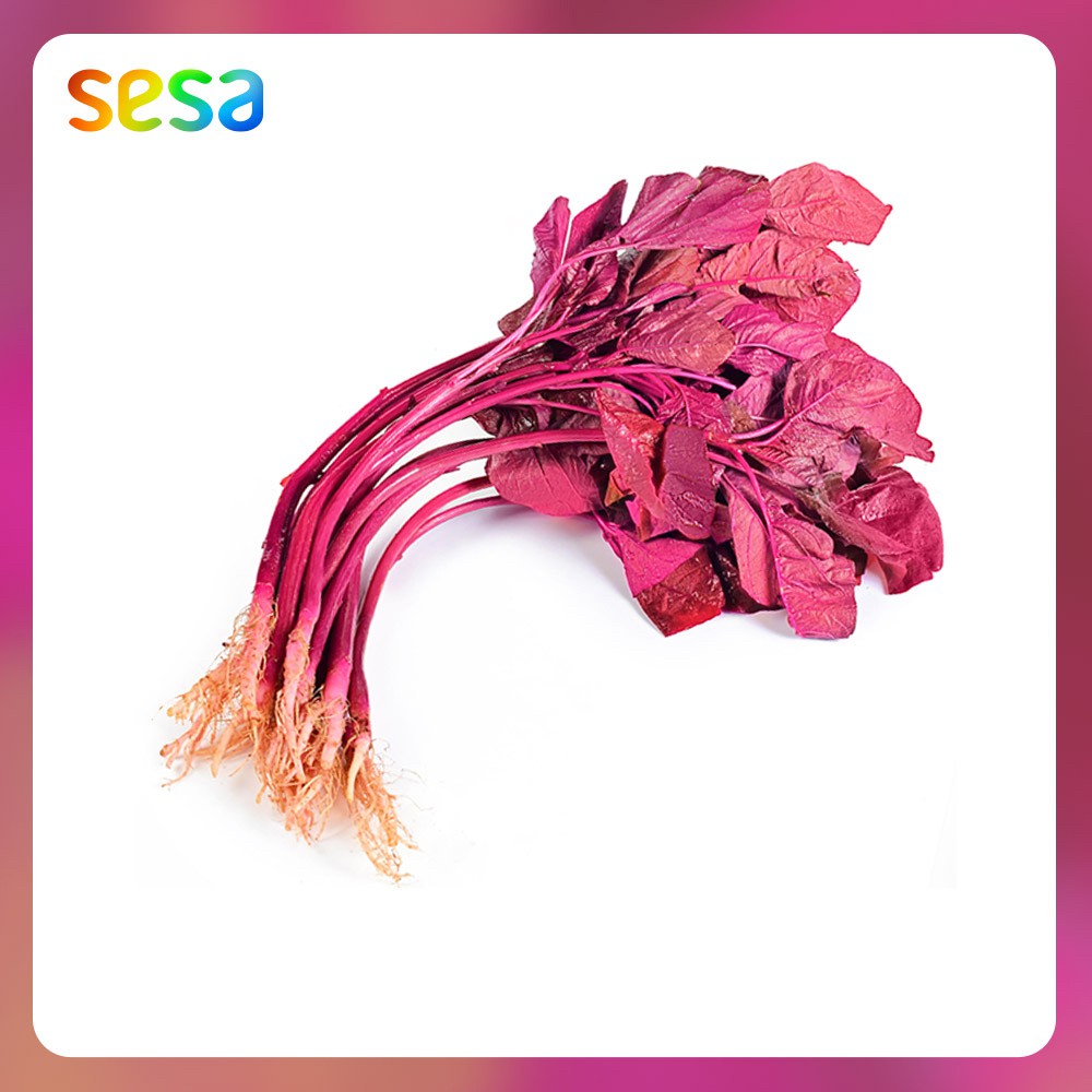 

SESA Bayam Merah Sayur Organik 200gr - Sayur Fresh Sehat Segar