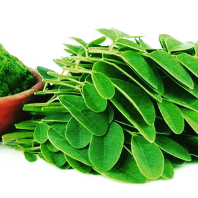 Serbuk daun kelor