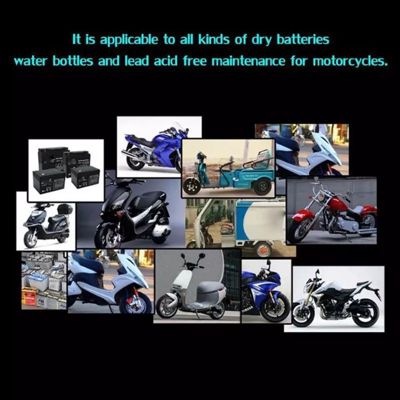 Charger Aki Motor Mobil Casan Carger Cas 2A 12V