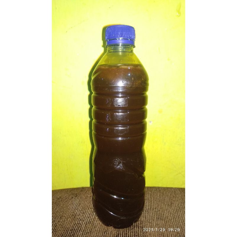 

Madu Klanceng Trigona Asli Kediri limited stok