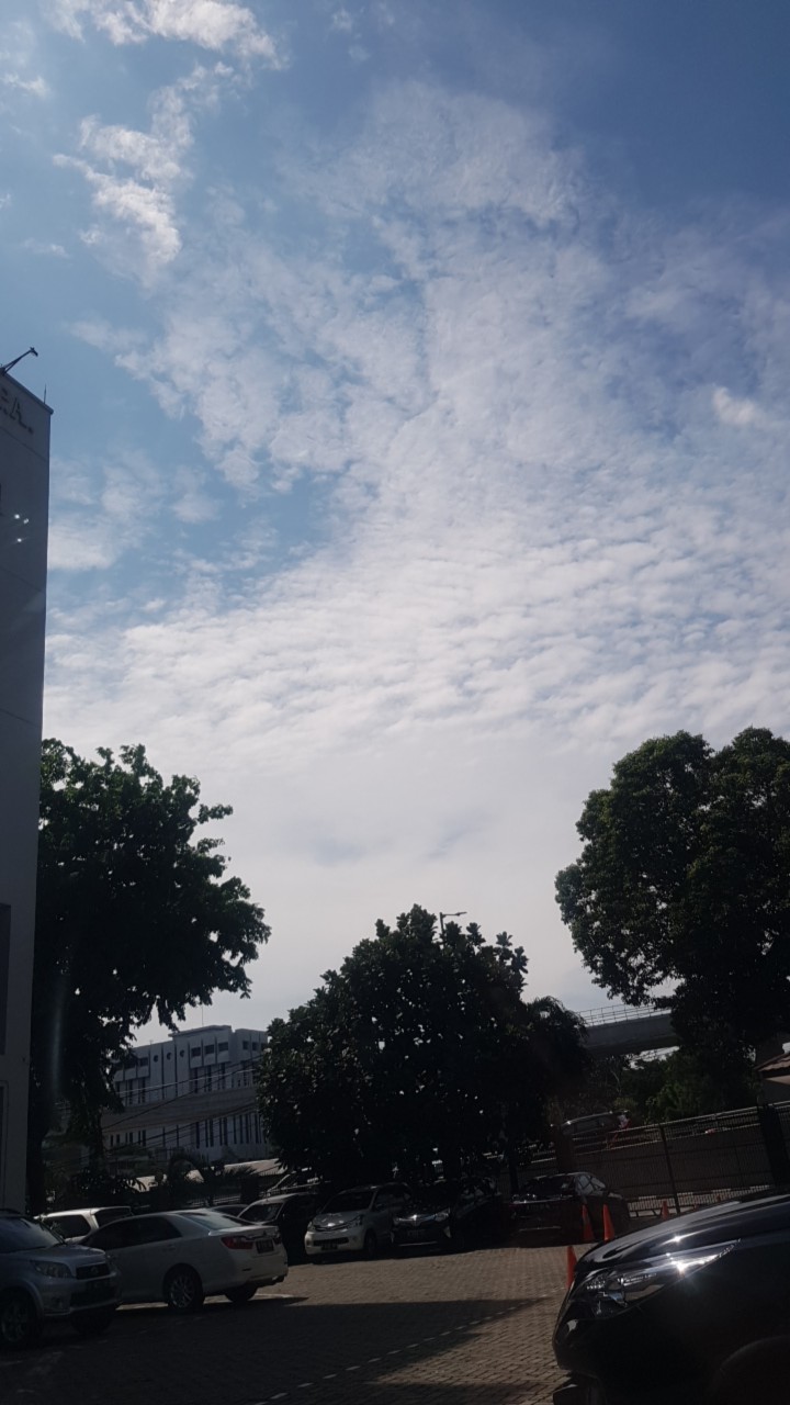 Mic Stainless Steel Garlic Press High Quality Handheld Garlic Press Tekan Bawang Putih